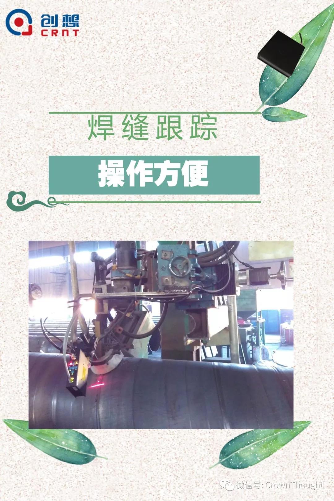 粽葉帶來的不僅僅是粽子，還有...