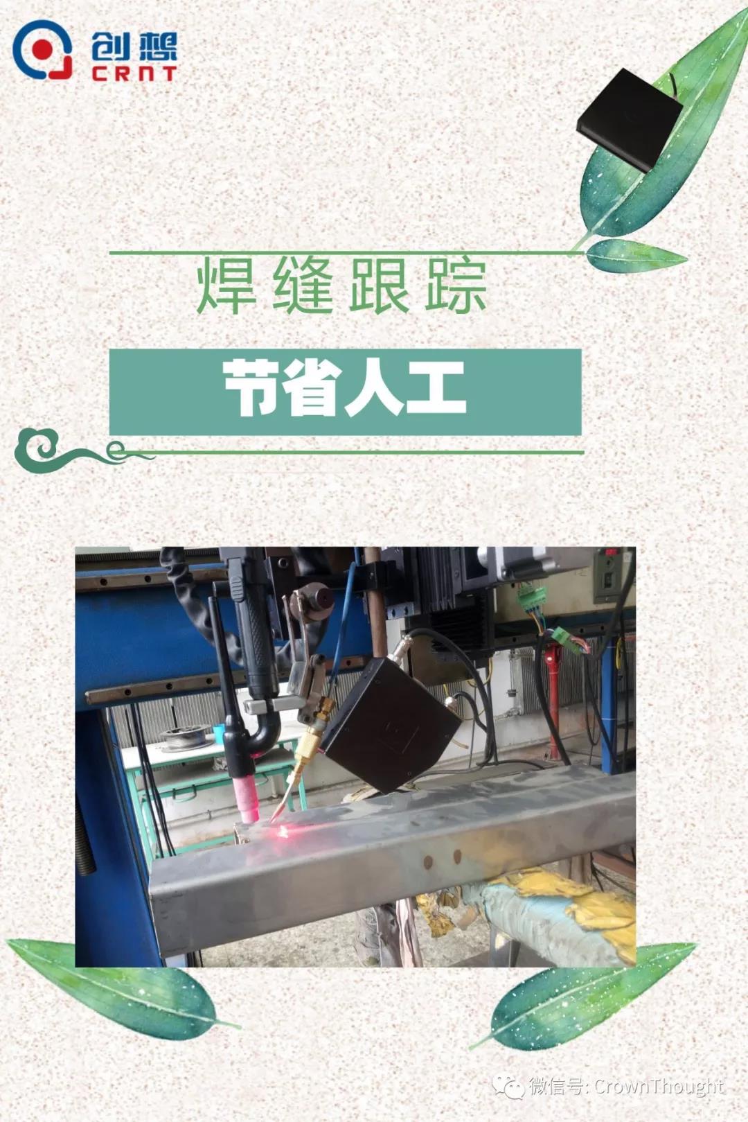 粽葉帶來的不僅僅是粽子，還有...