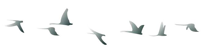 中秋佳節(jié) ▎有態(tài)度、有溫度， 一份堅(jiān)守是最誠(chéng)摯的祝福！